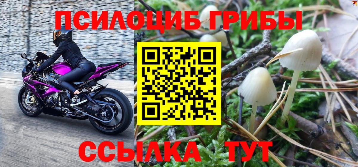Галлюциногенные грибы Cubensis Аша