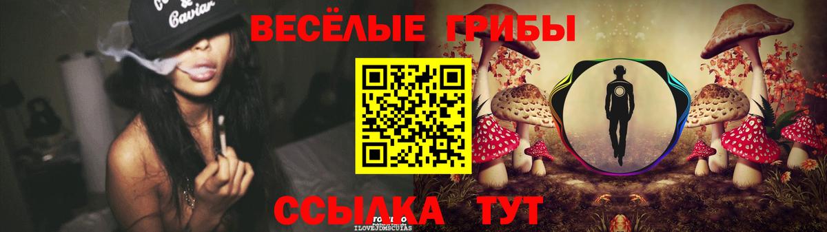 купить наркотики сайты  Галлюциногенные грибы Psilocybine cubensis  Вход с VPN  Галлюциногенные грибы Magic Shrooms  Аша 